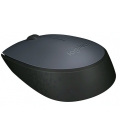 Logitech M171 Optical USB Zwart Retail Wireless