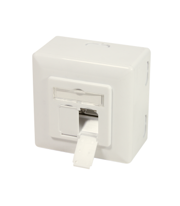 Opbouwdoos 2xRJ45 Cat6 LogiLink Zuiver Wit