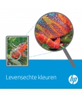 HP No.117A Geel 700 pagina`s (Origineel)