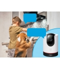 TP-Link TAPO C225 WiFi/4MP/IR
