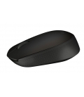Logitech B170 Optical USB Zwart Retail Wireless