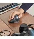 Logitech MX Ergo Trackball Zwart Retail Wireless