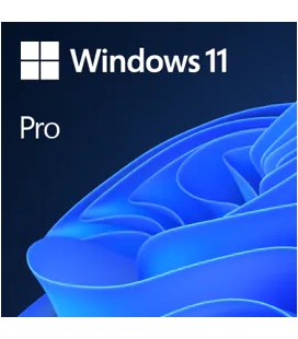 OS Microsoft Windows 11 Pro 64bit ESD Multilanguage