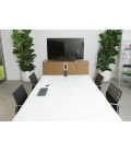 Logitech Conference Cam met Bluetooth speakerphone