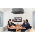 Logitech Conference Cam met Bluetooth speakerphone