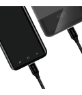 USB 2.0 C  USB-C 0.30m LogiLink Zwart