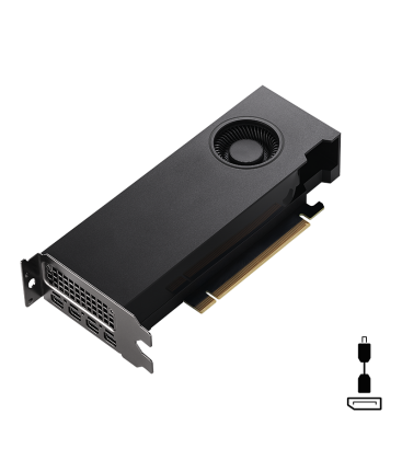 A2000 PNY RTX 12GB/4xmDP incl. Adapter/Low Profile
