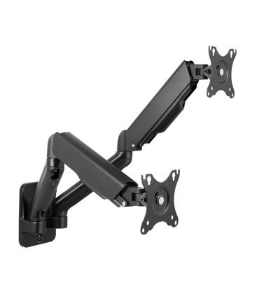 Wall Mount Dual LogiLink 17"-32"