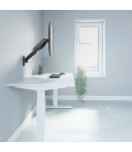 Wall Mount Dual LogiLink 17"-32"