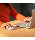 Logitech M171 Optical USB Wit Retail Wireless