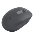 Logitech M196 Optical USB Graphite Retail Wireless BT