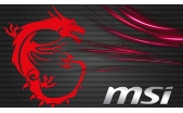 MSI